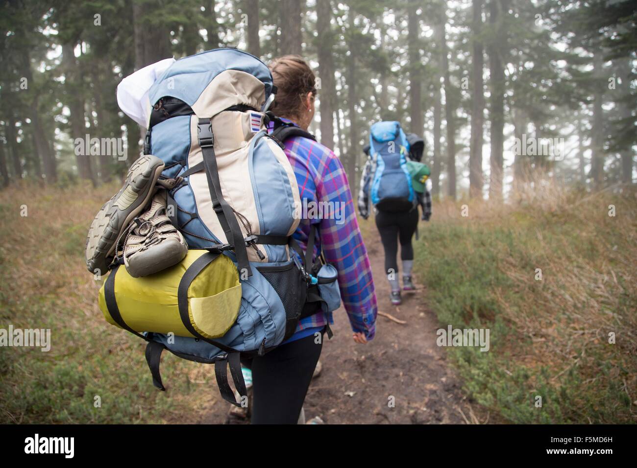 Hikers walking across forest, Lake Blanco, Washington, USA Stock Photo