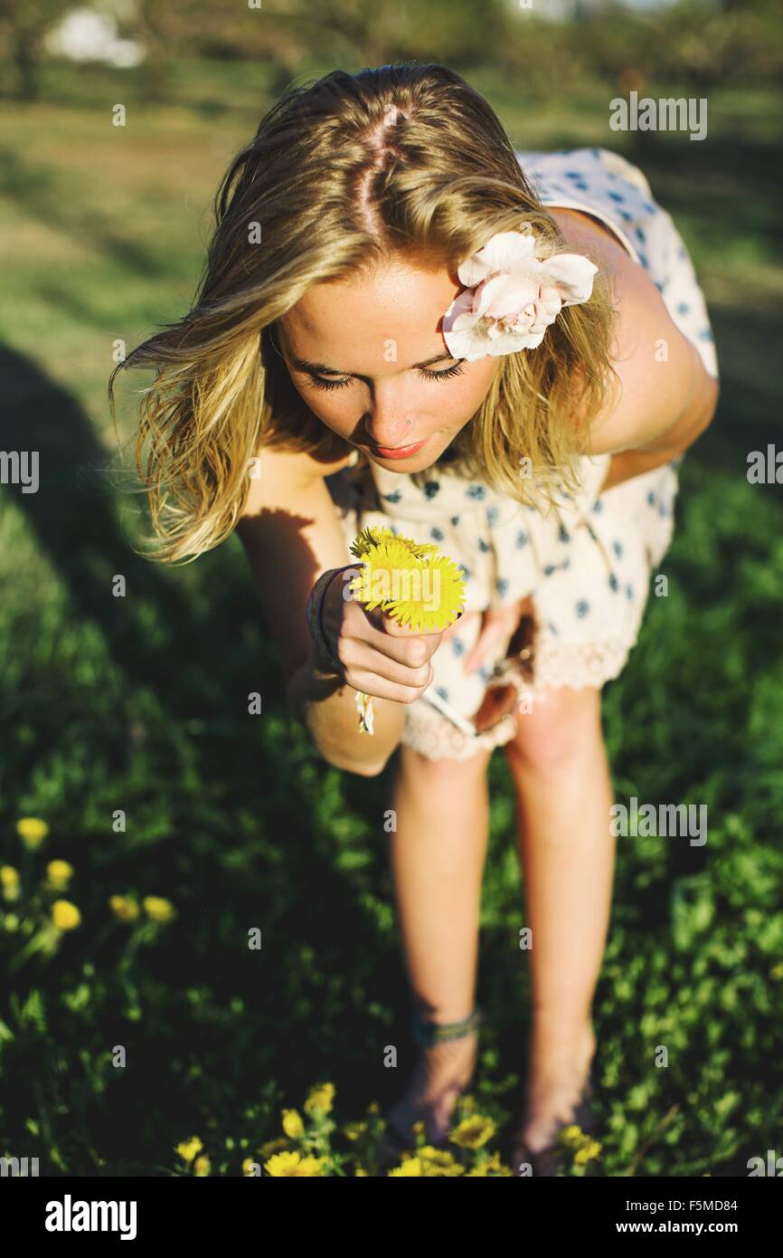 Young woman bending over smelling bunch of dandelion flowers Stock Photo