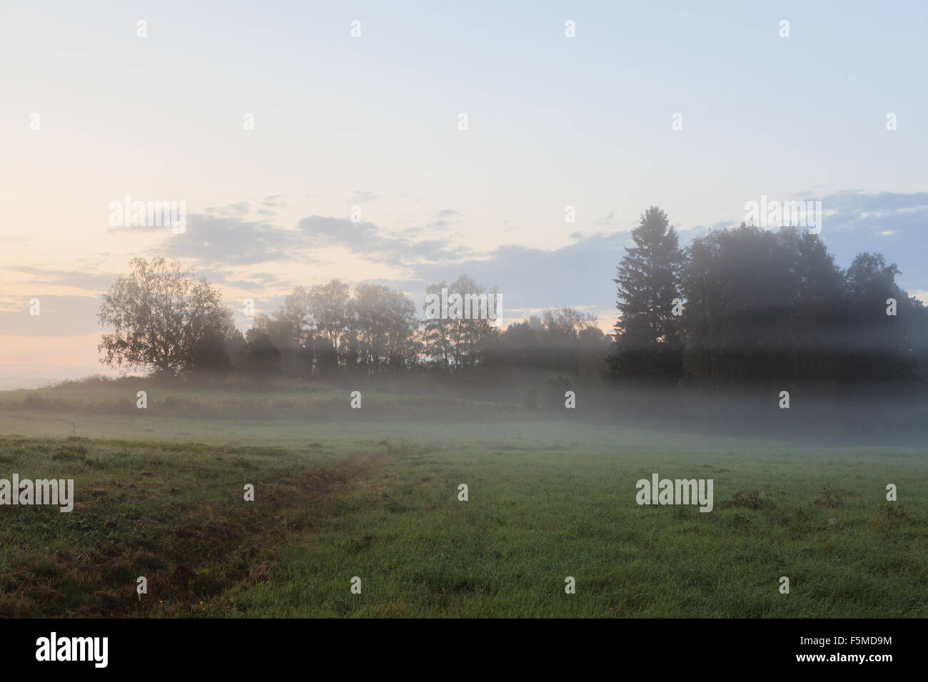 Misty meadow at dawn Stock Photo - Alamy
