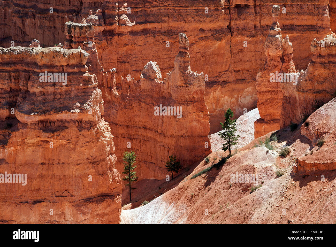 Utah Coloured Rocks View of coloured rock formations, fairy chimneys, Bryce Canyon National ...