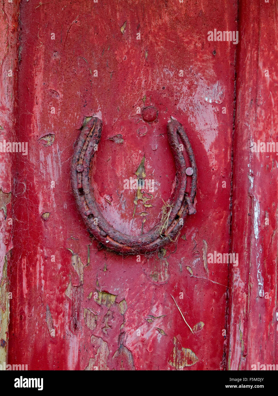 horse shoe on red door Stock Photo