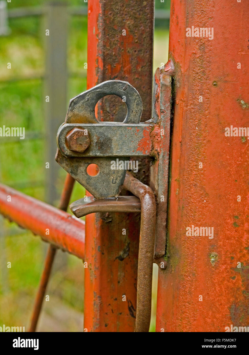 Steel gate latch Stock Photo