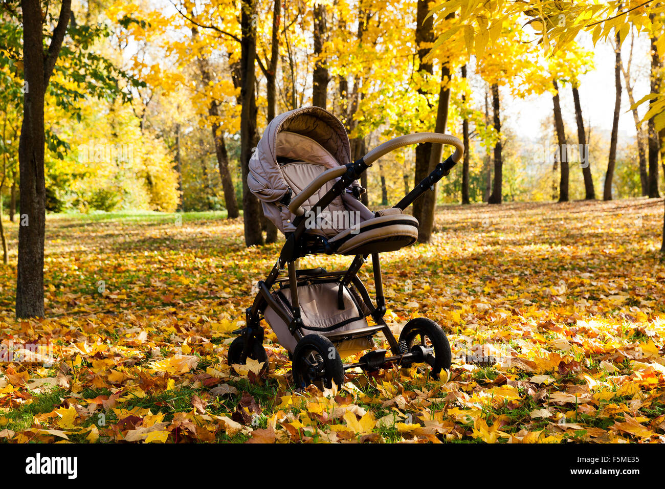 stroller.  autumn season Stock Photo