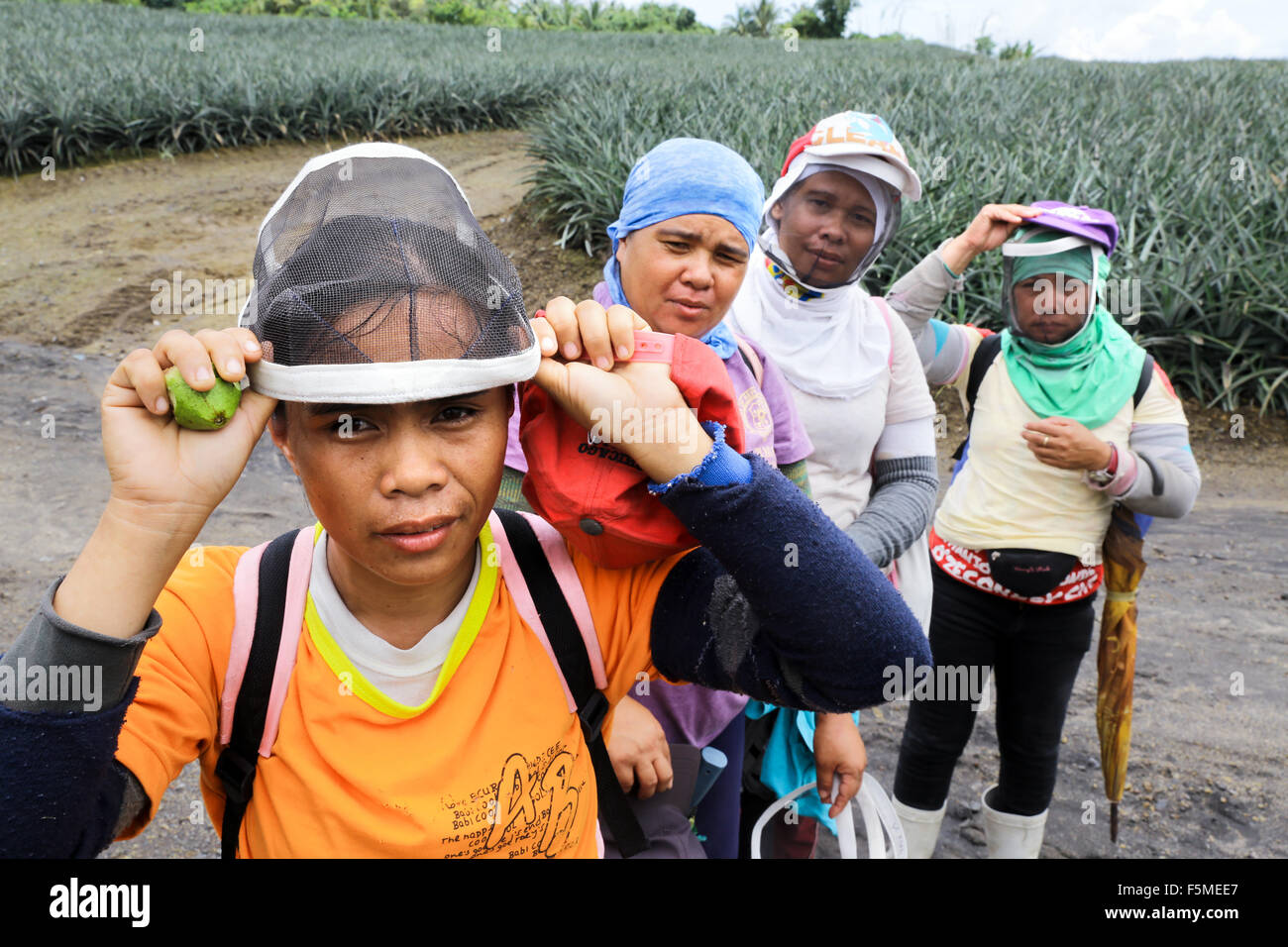 Worker in a Dole Pineapple Plantation near Polomolok, South Cotabato, Mindanao, The Philippines Stock Photo