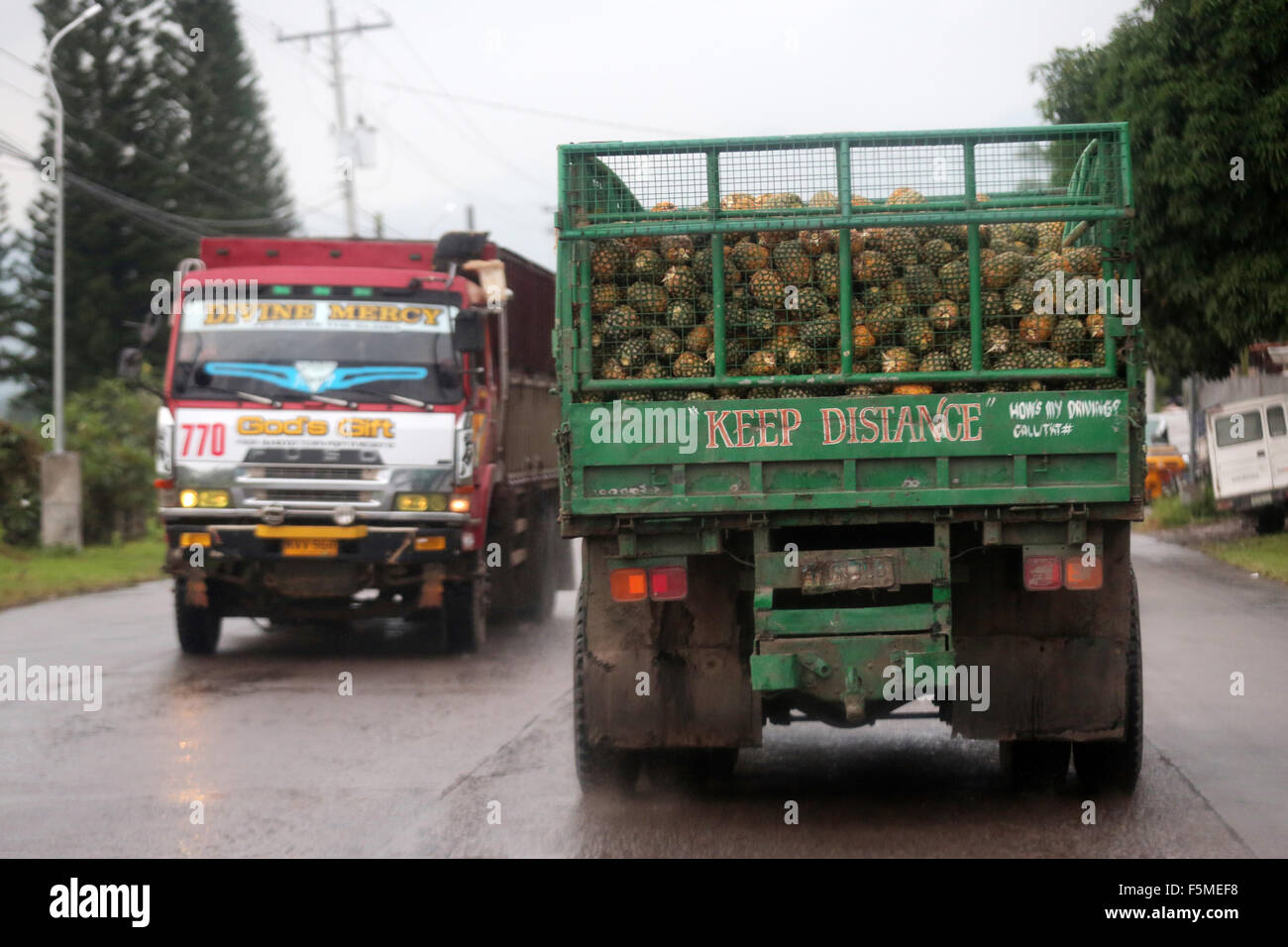 Truck with Pineapple on the way to the processing plant of the Dole Pineapple Inc. in Polomolok, South Cotabato, Mindanao, The Philippines Stock Photo