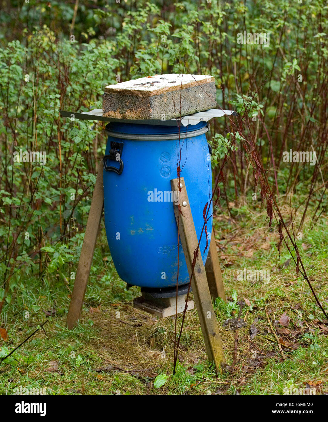 Pheasant Food Stock Photos Pheasant Food Stock Images Alamy