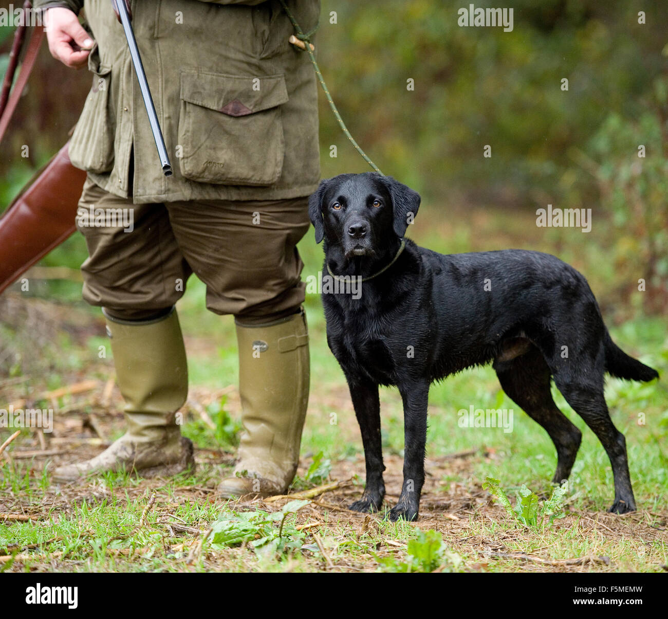 man with his black labrador retriever on a shoot Stock Photo