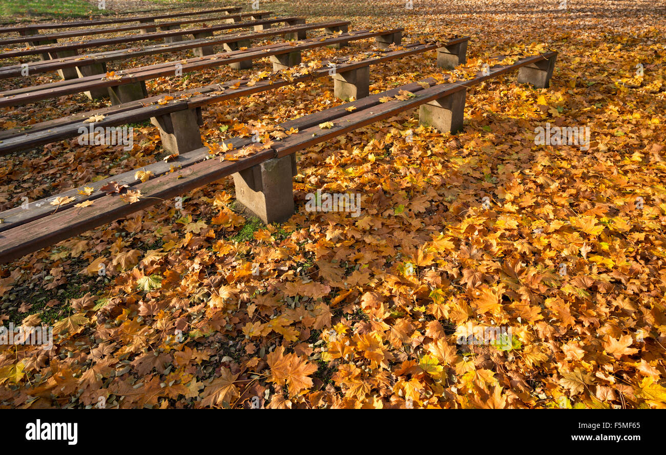 old wooden benches in the park in autumn Stock Photo - Alamy