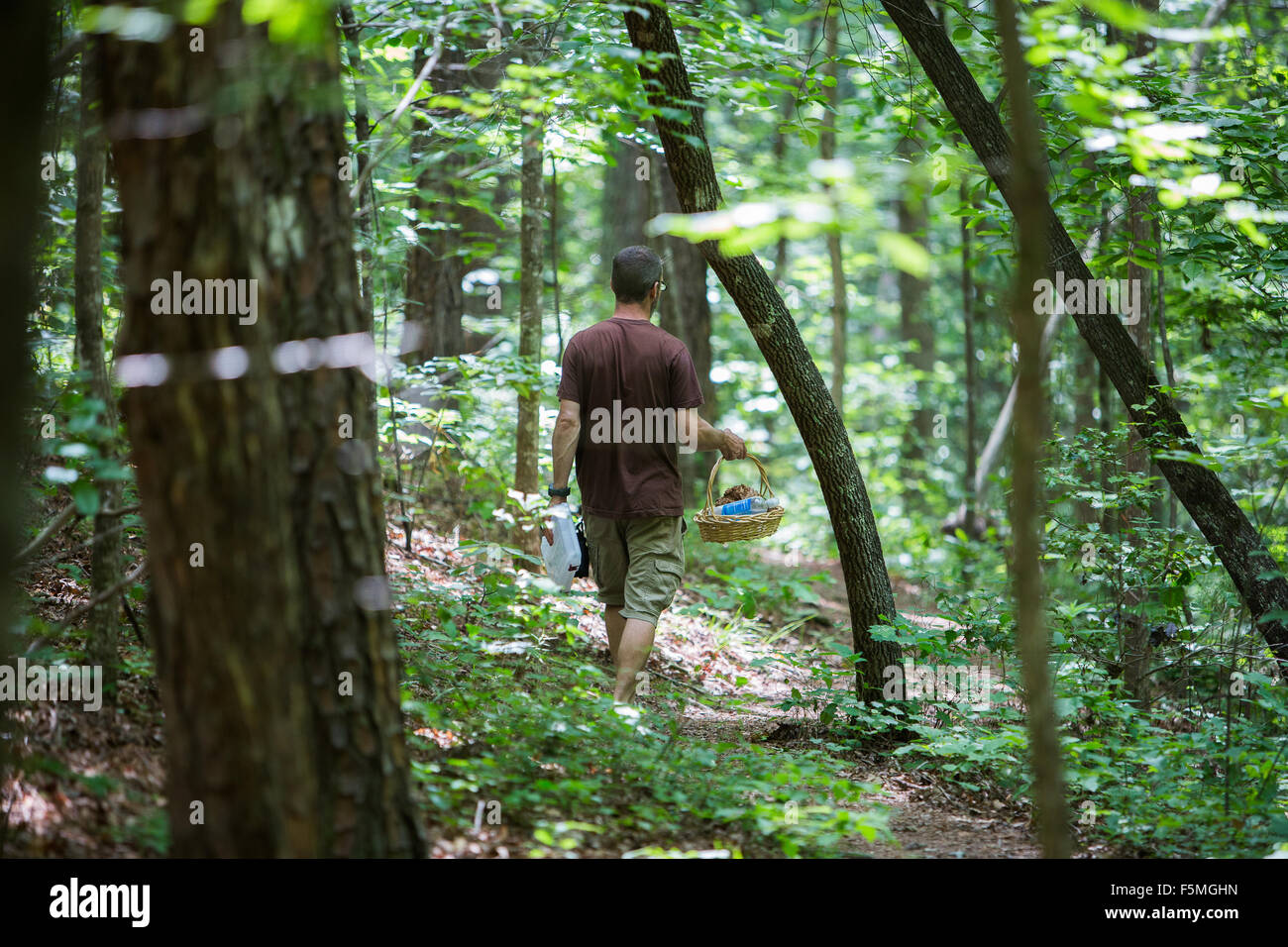 Mushroom hunting in South Carolina Stock Photo Alamy