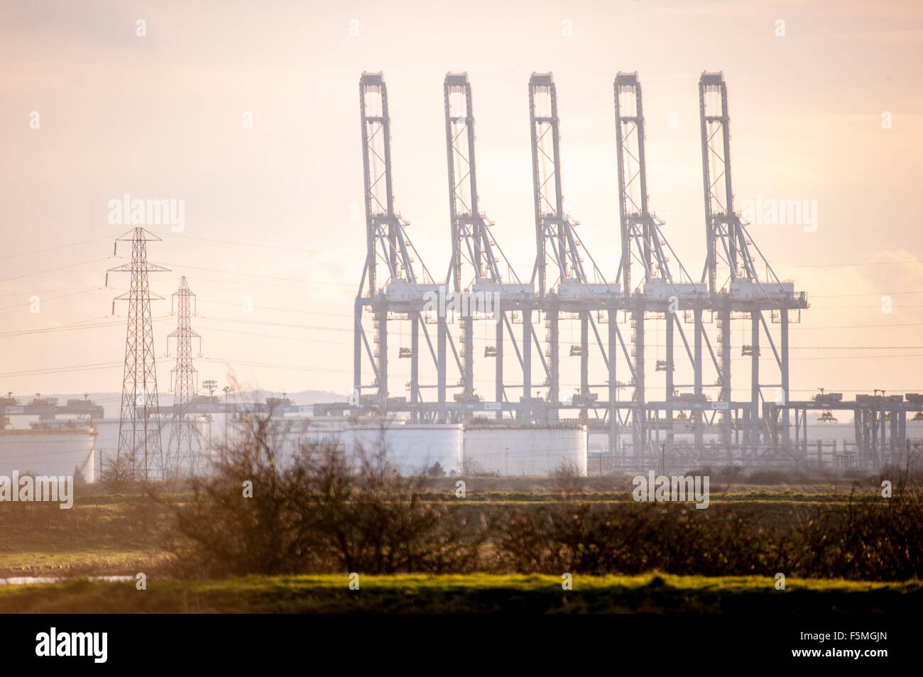 Tall lifting cranes hi-res stock photography and images - Alamy