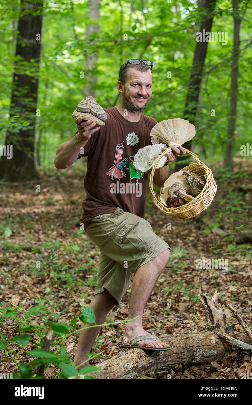 Mushroom hunting in the South Carolina woods Stock Photo Alamy