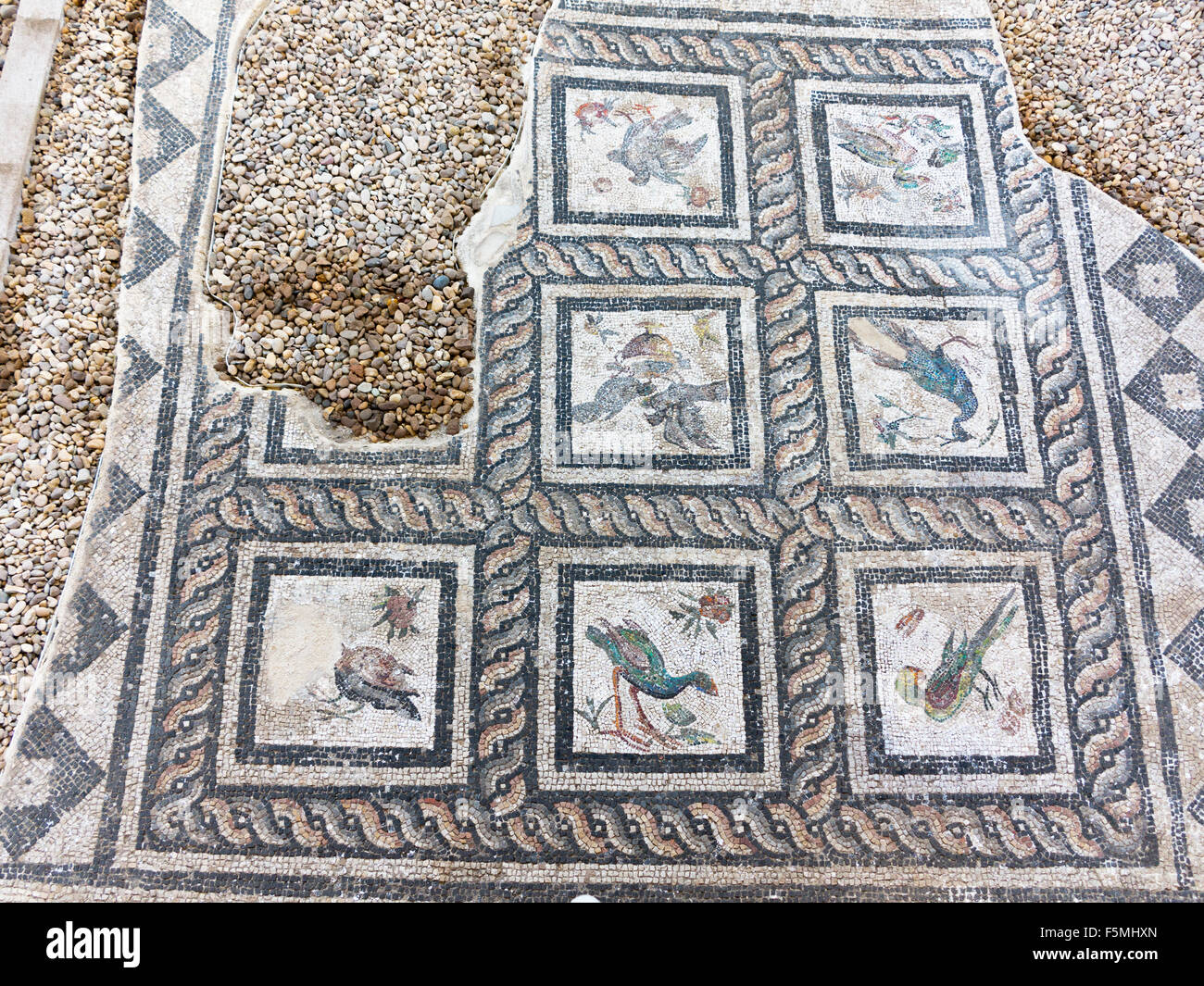 Alexandria egypt mosaic hires stock photography and images Alamy