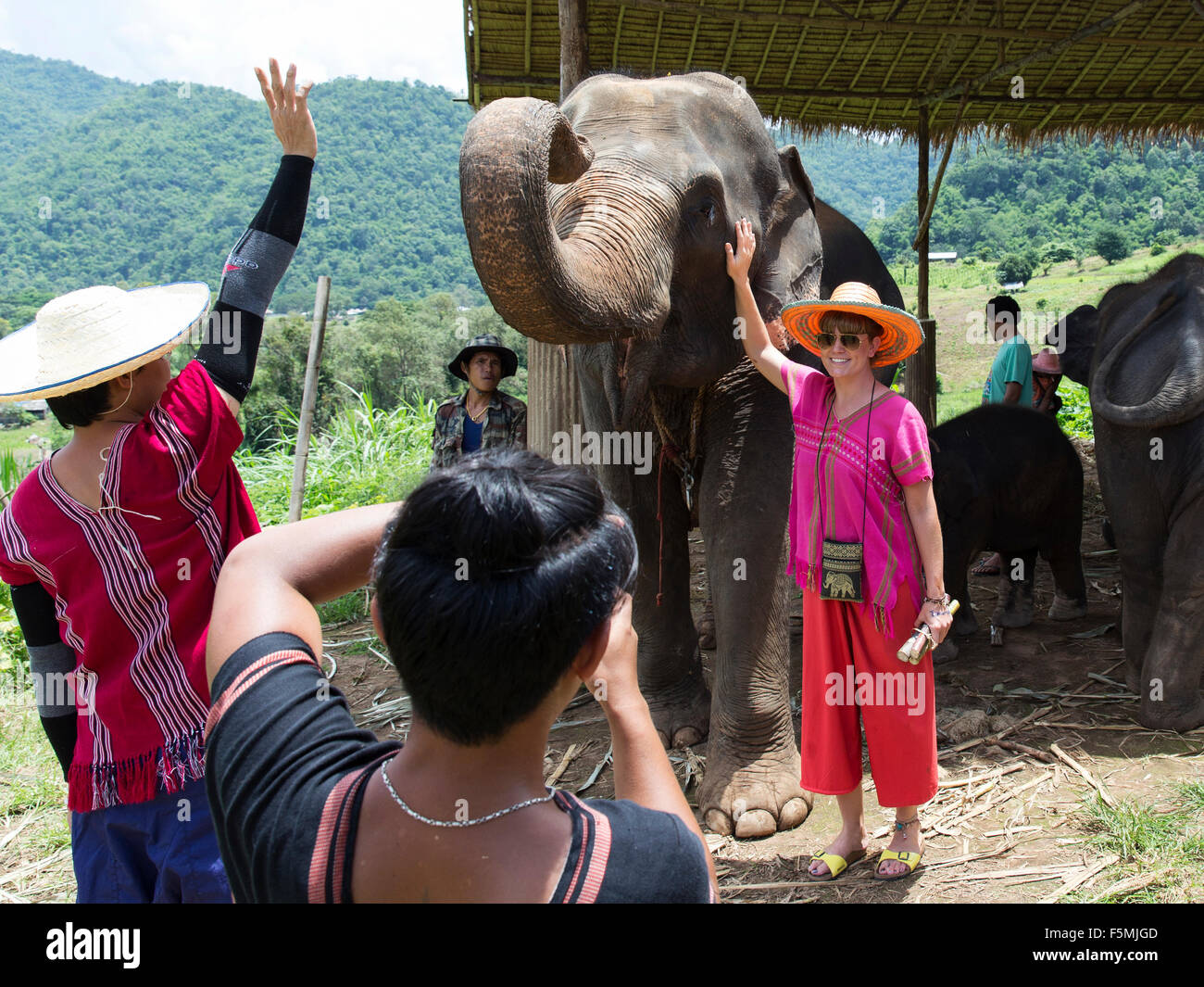 Tourist at an elephant sanctuary in Thailand Stock Photo