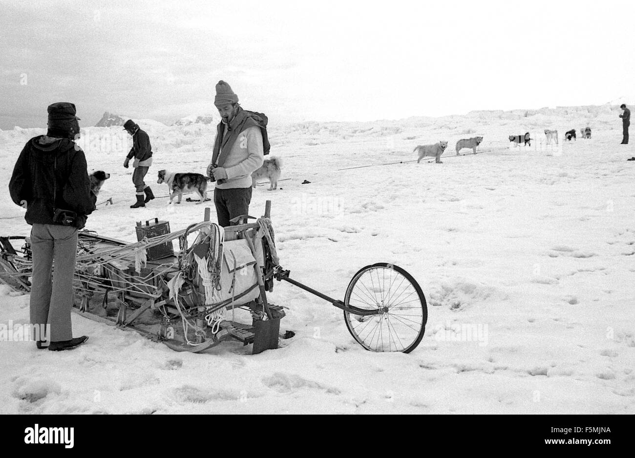 Packing the dog sled BAS 1973 Antarctic Graham Land Stock Photo