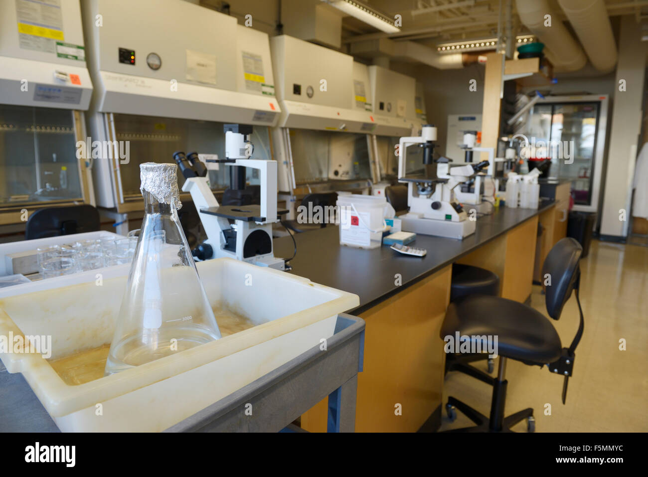 Biotechnology research lab for working with tissue cultures MIT Stock