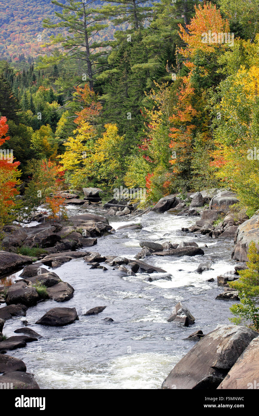 Fall foliage Bear Brook Wilsons Mills Maine New England USA Stock Photo