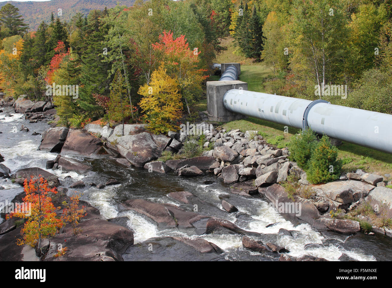 Fall foliage Bear Brook Wilsons Mills Maine New England USA Stock Photo