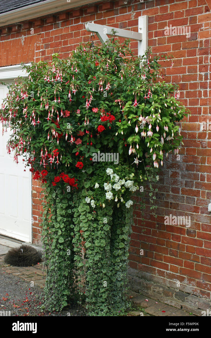 Hanging flower basket hi-res stock photography and images - Alamy