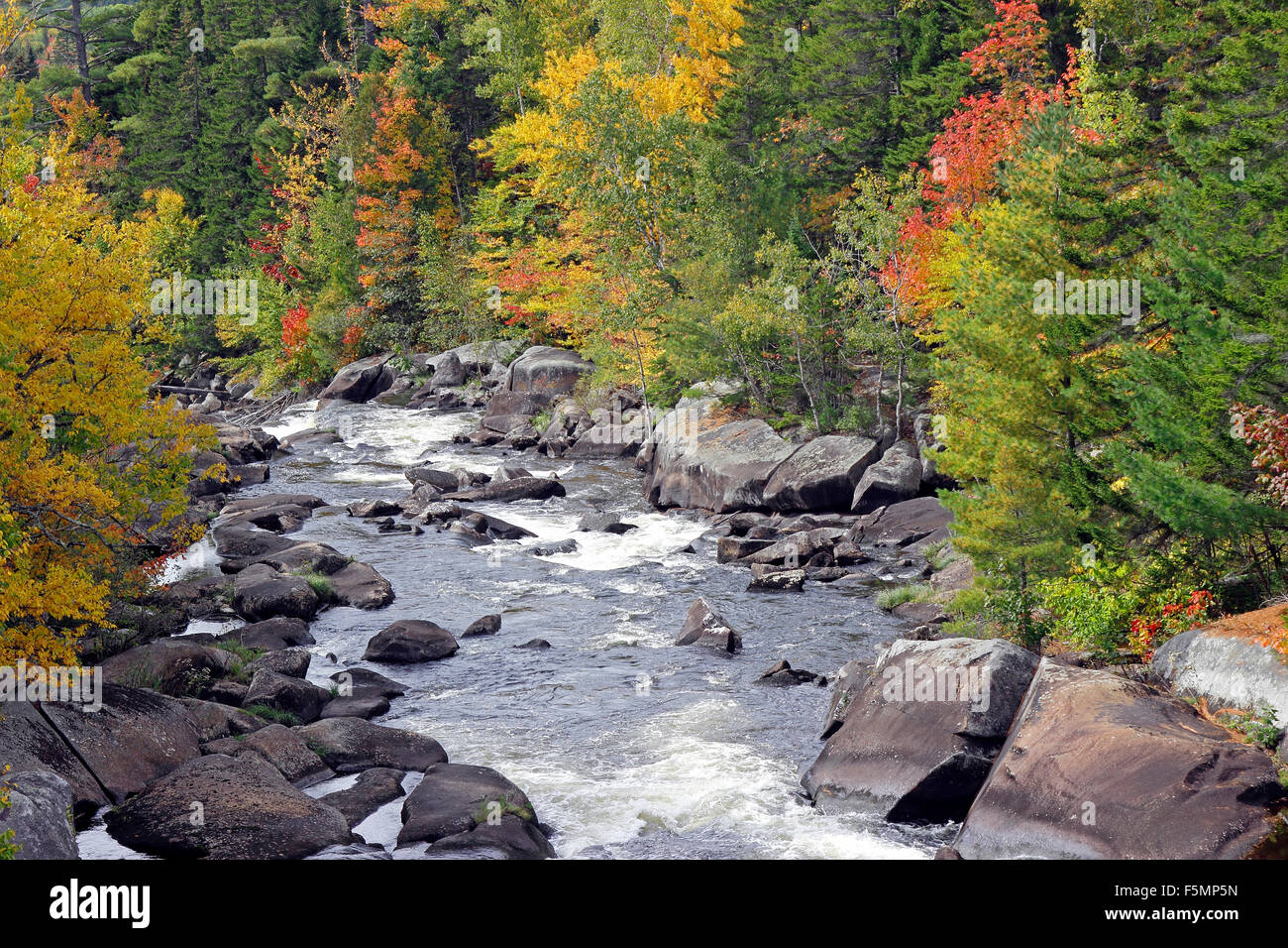 Fall foliage Bear Brook Wilsons Mills Maine New England USA Stock Photo