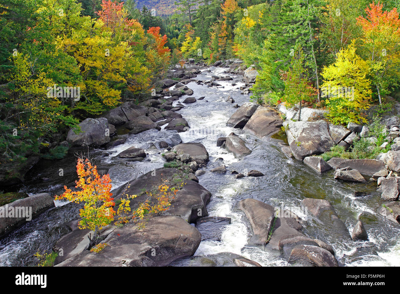 Fall foliage Bear Brook Wilsons Mills Maine New England USA Stock Photo