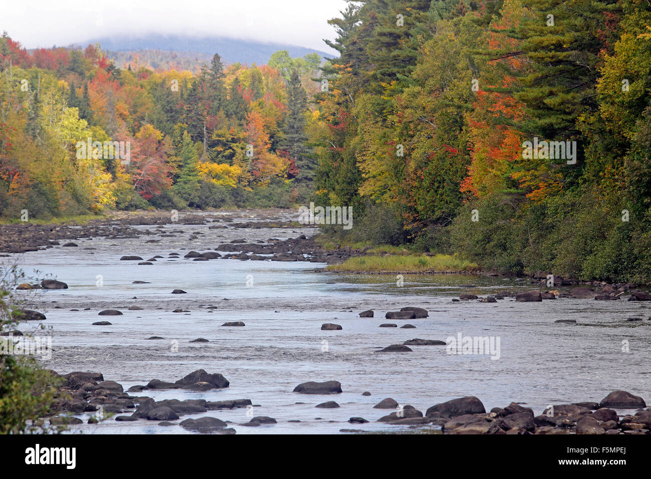 Fall Foliage Androscoggin River Coos County New Hampshire New England