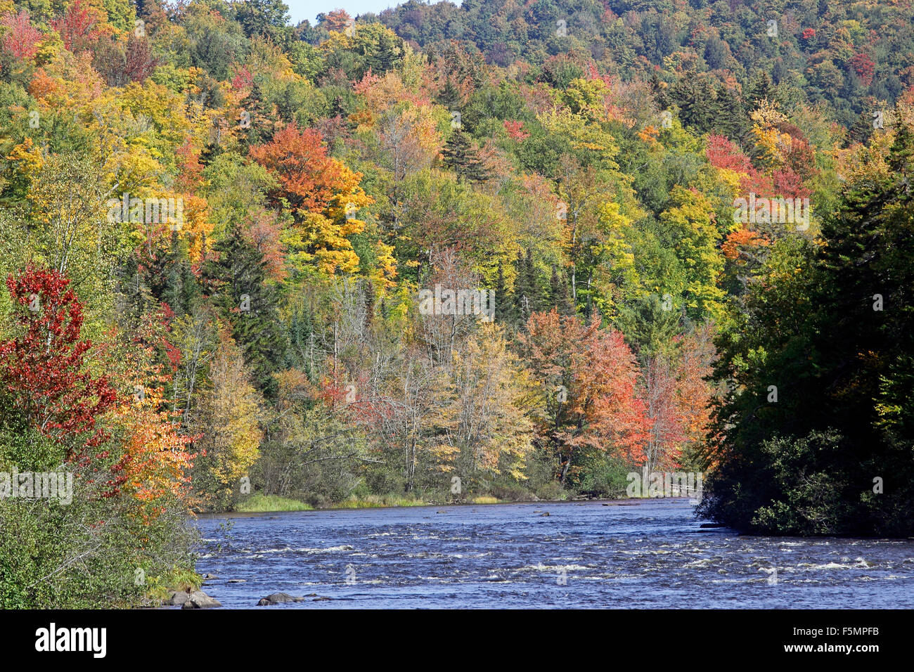 Fall Foliage Androscoggin River Coos County New Hampshire New England