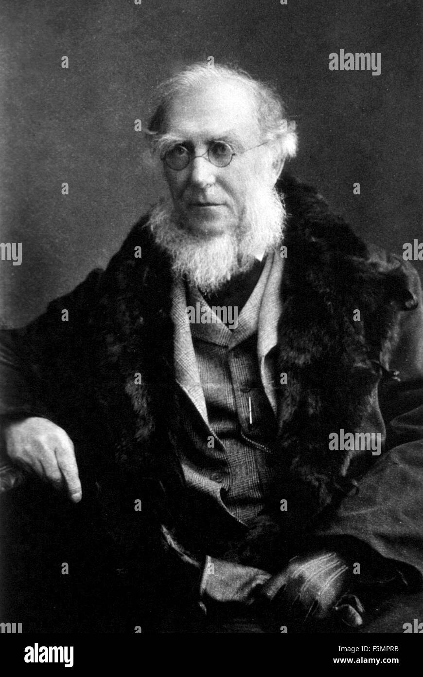 JOSEPH DALTON HOOKER (1817-1911) English botanist and explorer about 1895 Stock Photo