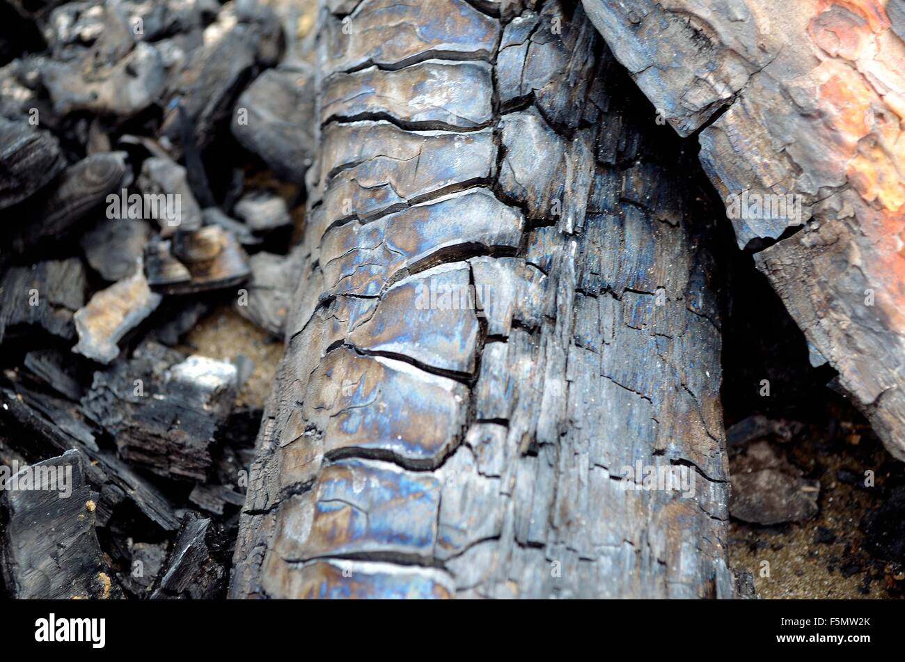 Burnt firewood hi-res stock photography and images - Alamy