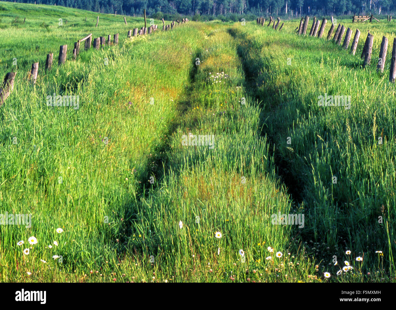 Burwash ontario hires stock photography and images Alamy