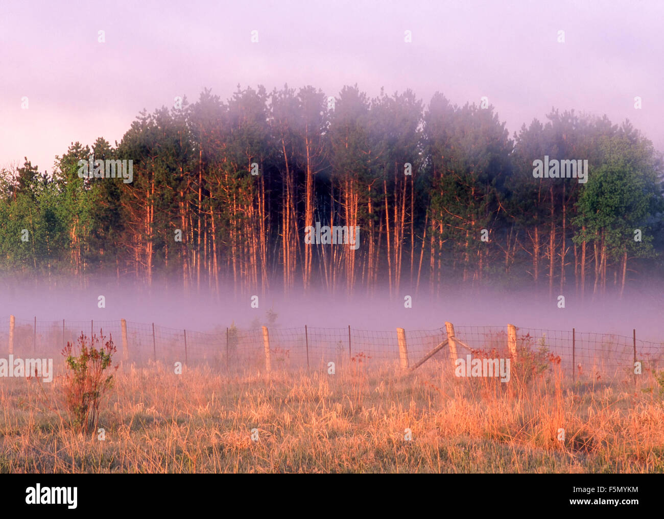 Burwash ontario hires stock photography and images Alamy