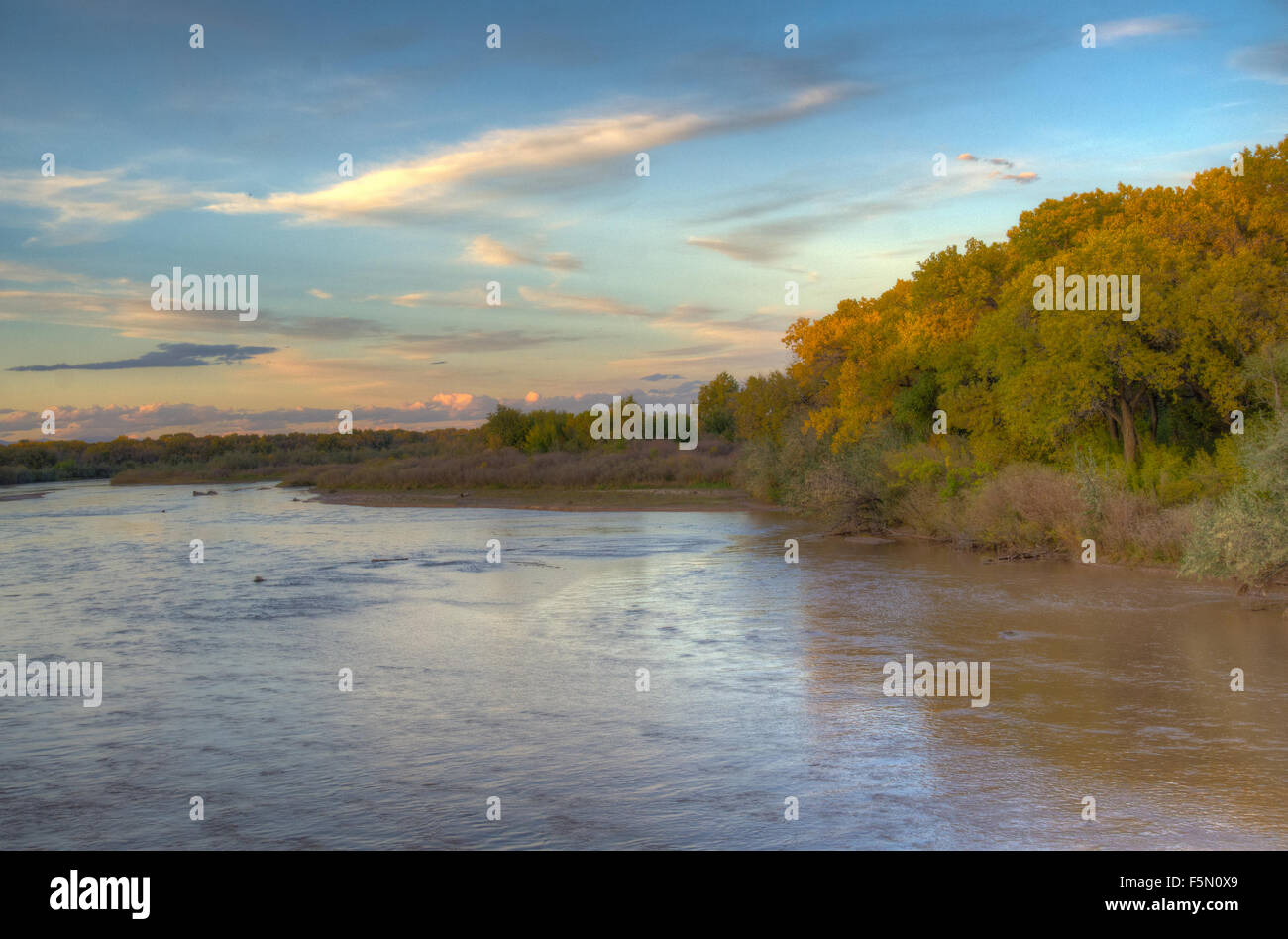 Rio Grande bosque at Albuquerque, New Mexico, USA during the fall Stock