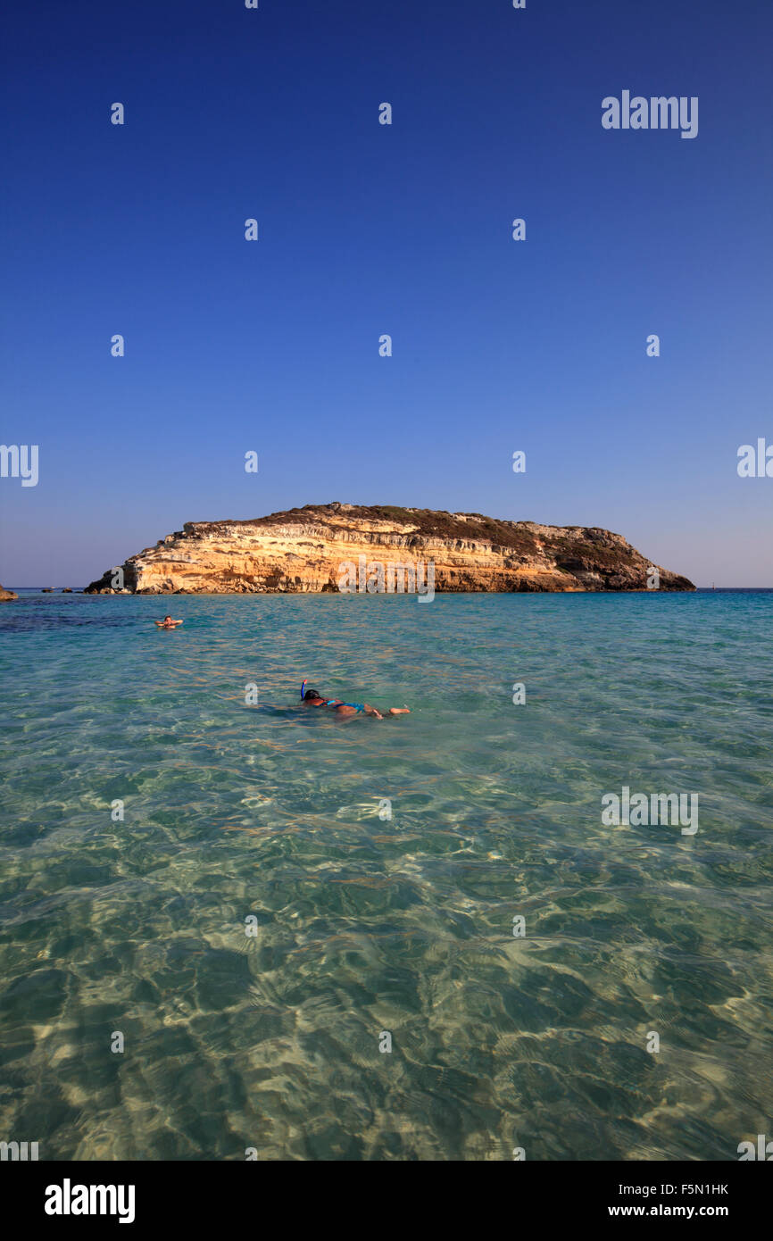 Island of rabbits hi-res stock photography and images - Alamy