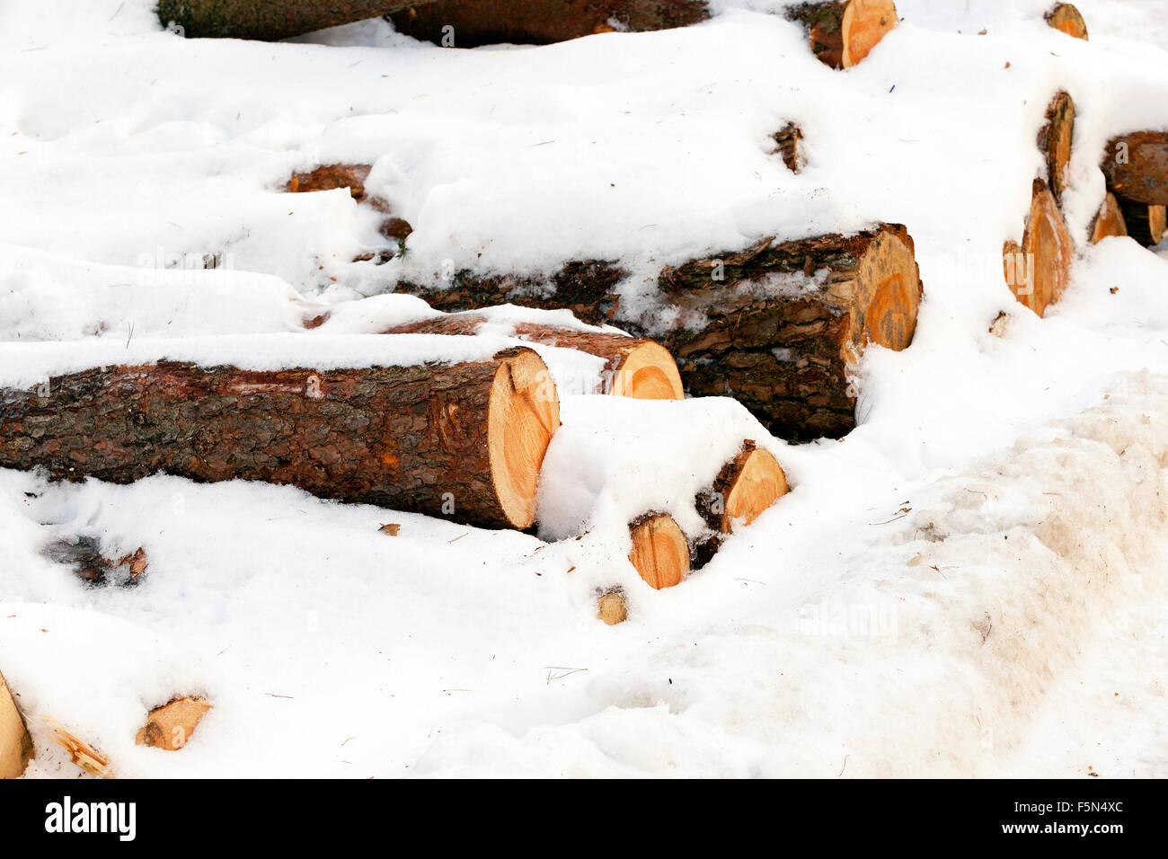 Fallen material hi-res stock photography and images - Alamy