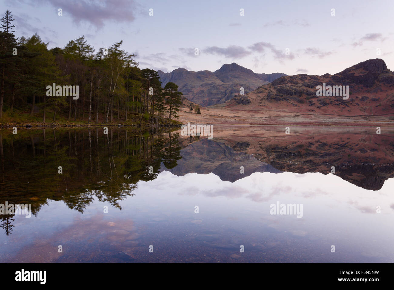 The Langdale Pikes reflected in Blea Tarn, English Lake District Stock Photo