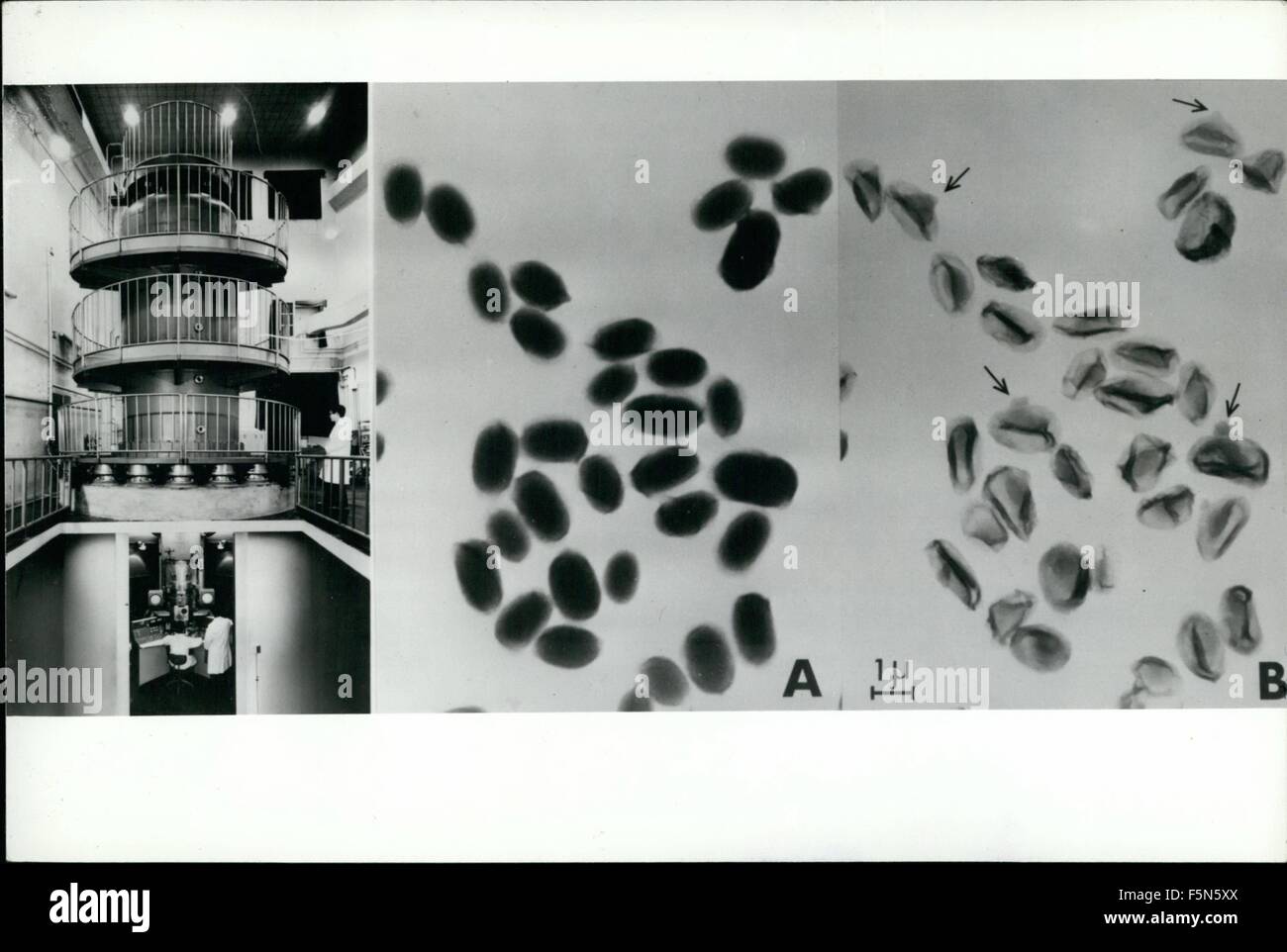 1968 World's Most Powerful Microscope. The Three million volt