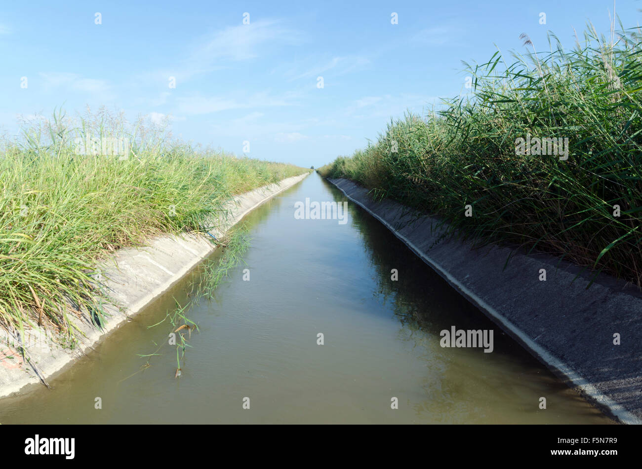 Irrigation channel trough a field in the North of Greece Stock Photo