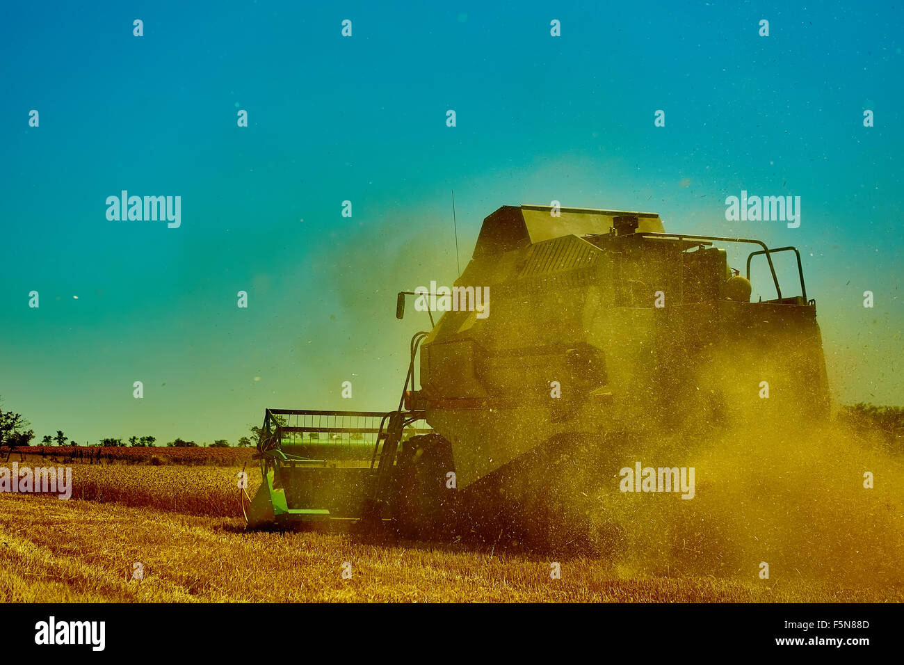 Harvester combine harvesting wheat on sunny summer day Stock Photo - Alamy