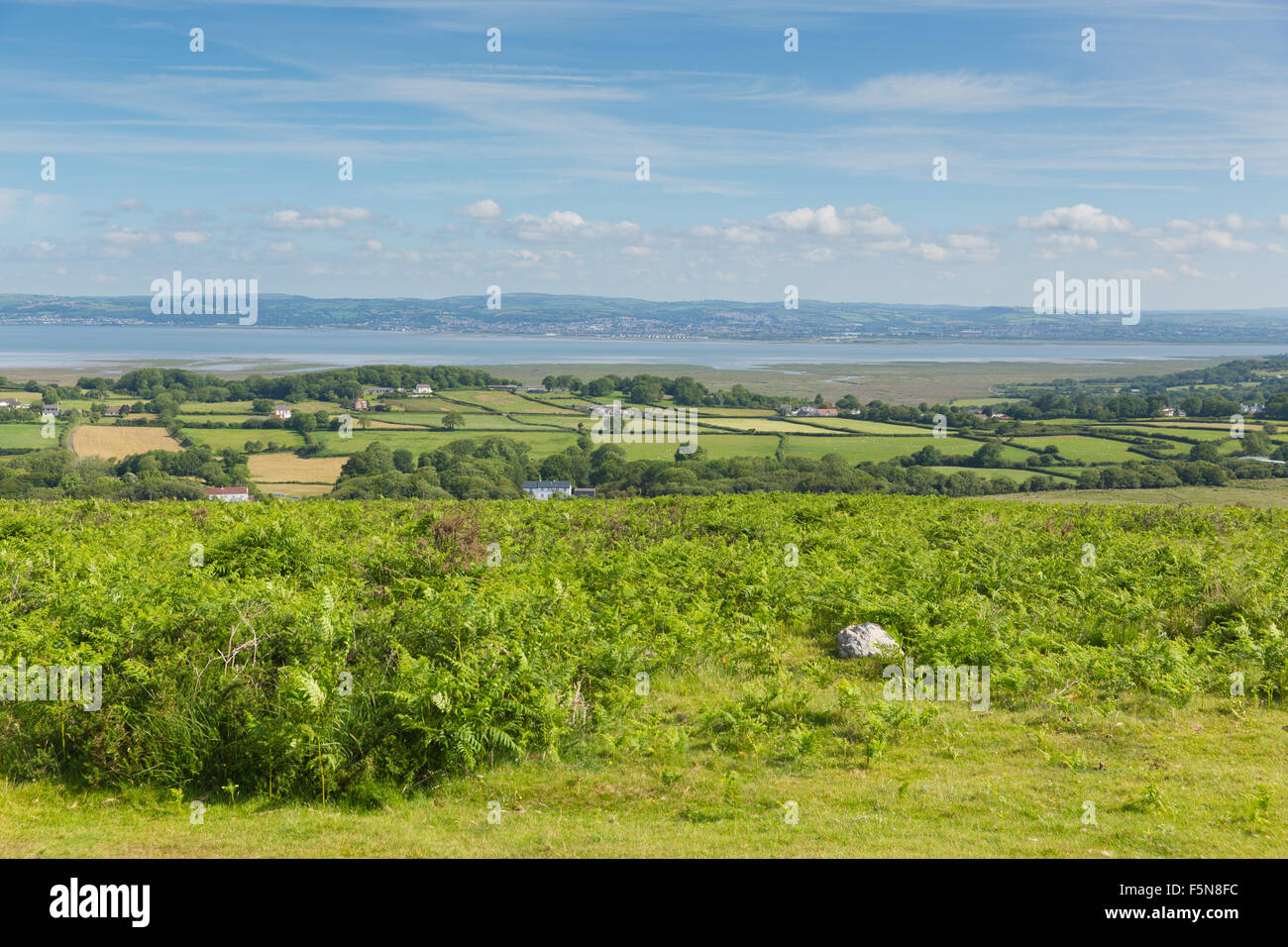 Welsh countryside view from Cefn Bryn hill The Gower peninsula South ...