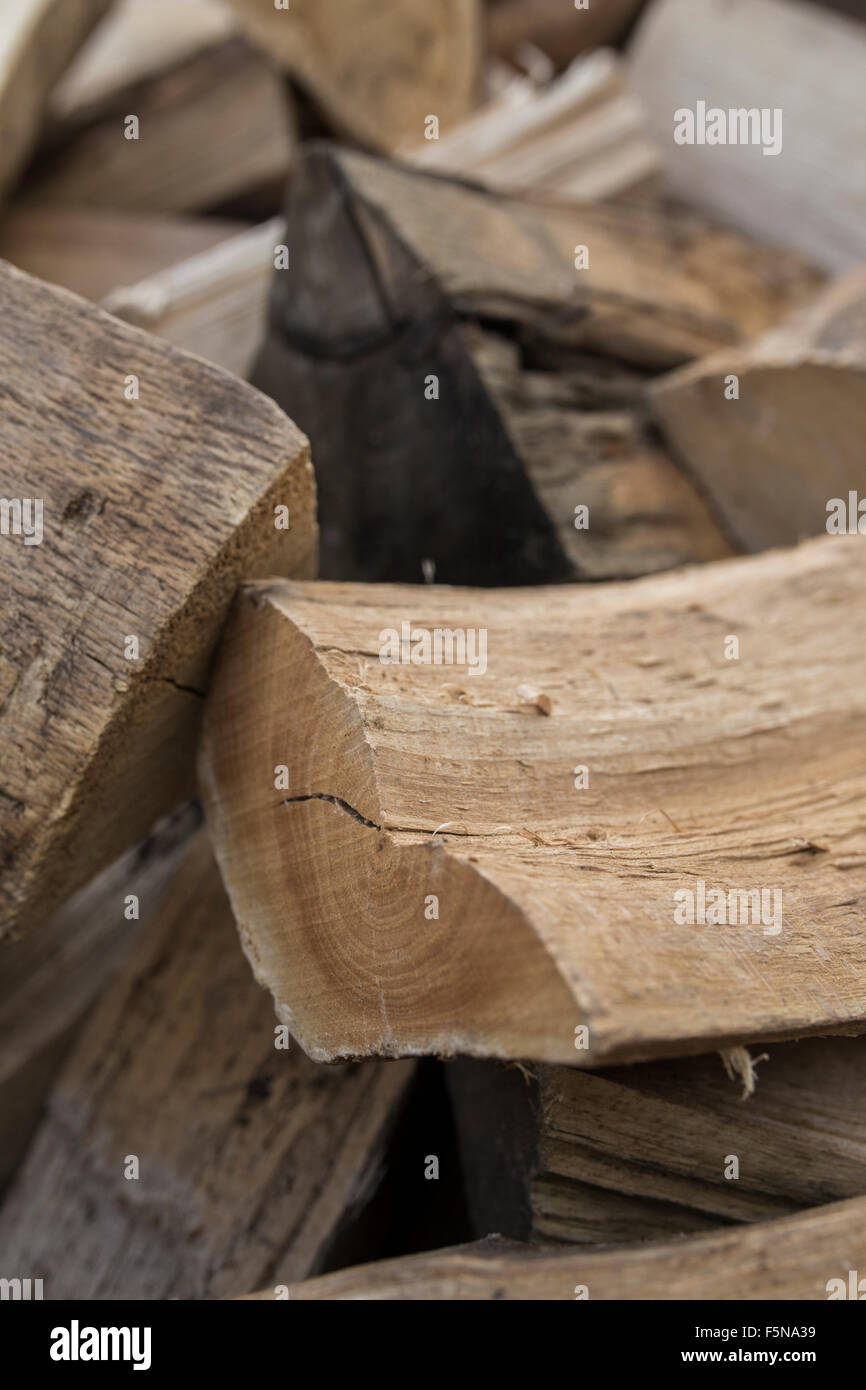 Pile of hardwood logs for fuel. Stock Photo