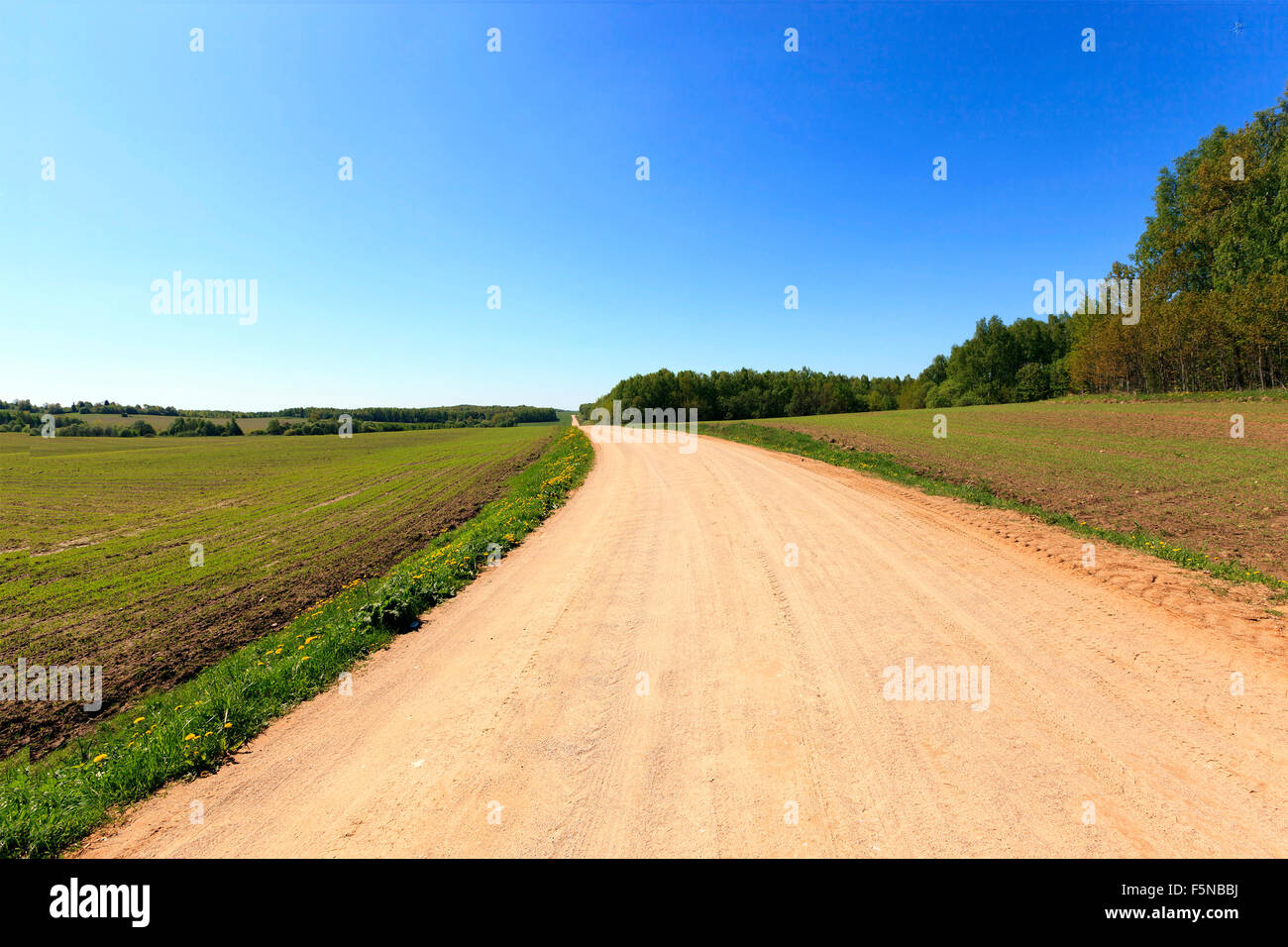 Dark gravel pathway road hi-res stock photography and images - Alamy