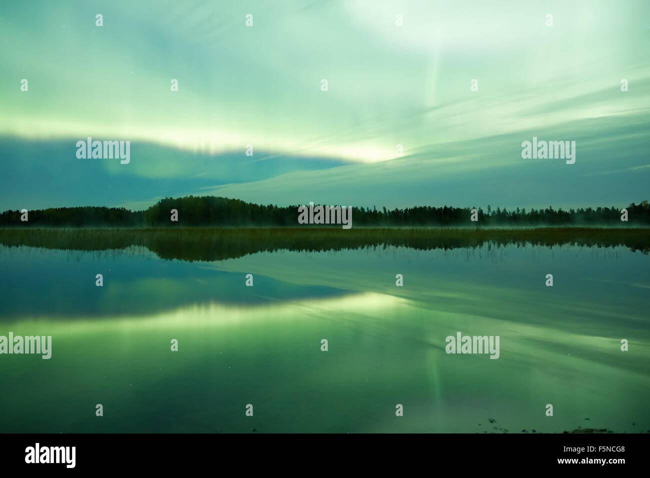 Green northern lights (Aurora Borealis) glowing in the night sky over a ...