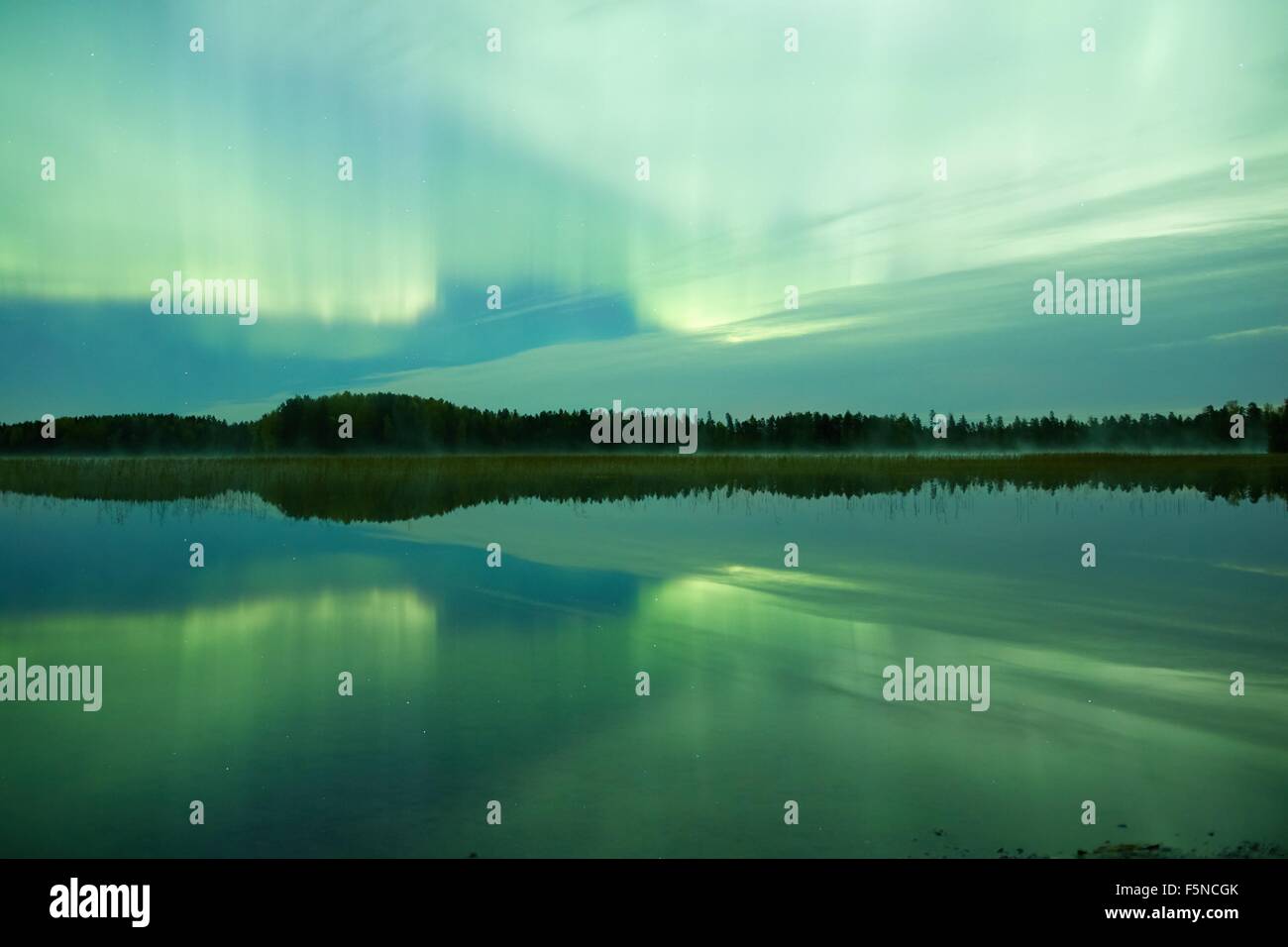 Northern lights (Aurora Borealis) glowing in the night sky over a ...