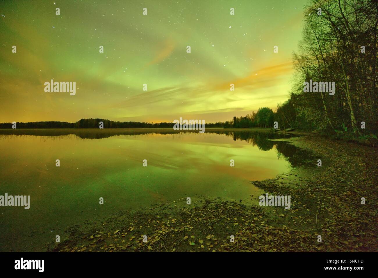Northern lights (Aurora Borealis) glowing in the night sky over a ...