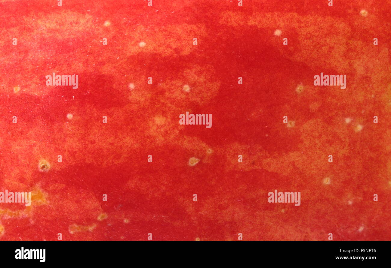 the texture in the form of apple peel Stock Photo Alamy