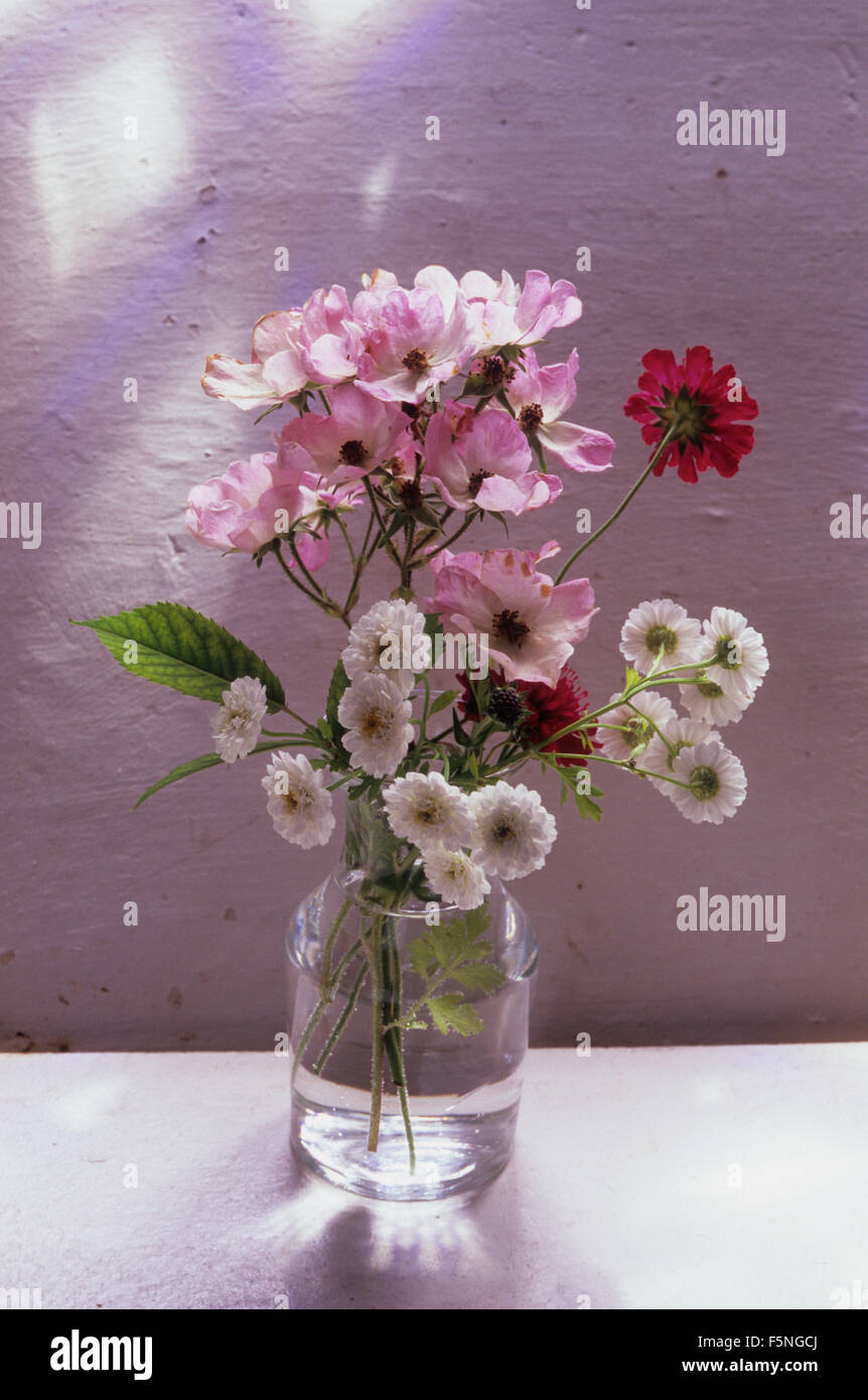 Jam jar containing summer flowers sitting on white ledge with shadows cast from diamond leaded window Stock Photo
