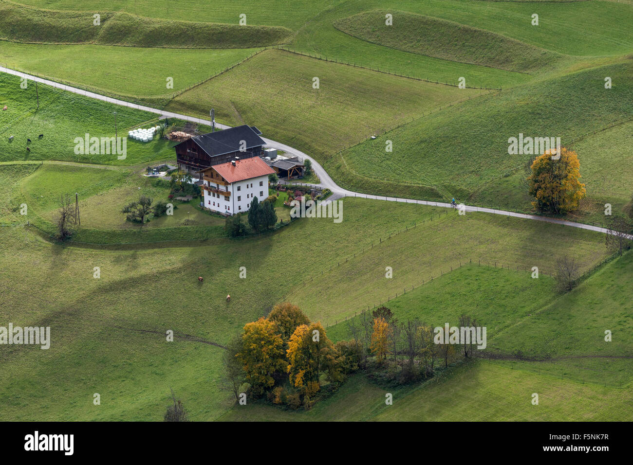 Farmyard, meadows, autumn coloured trees, Welzlach, Virgental, East Tyrol, Austria Stock Photo