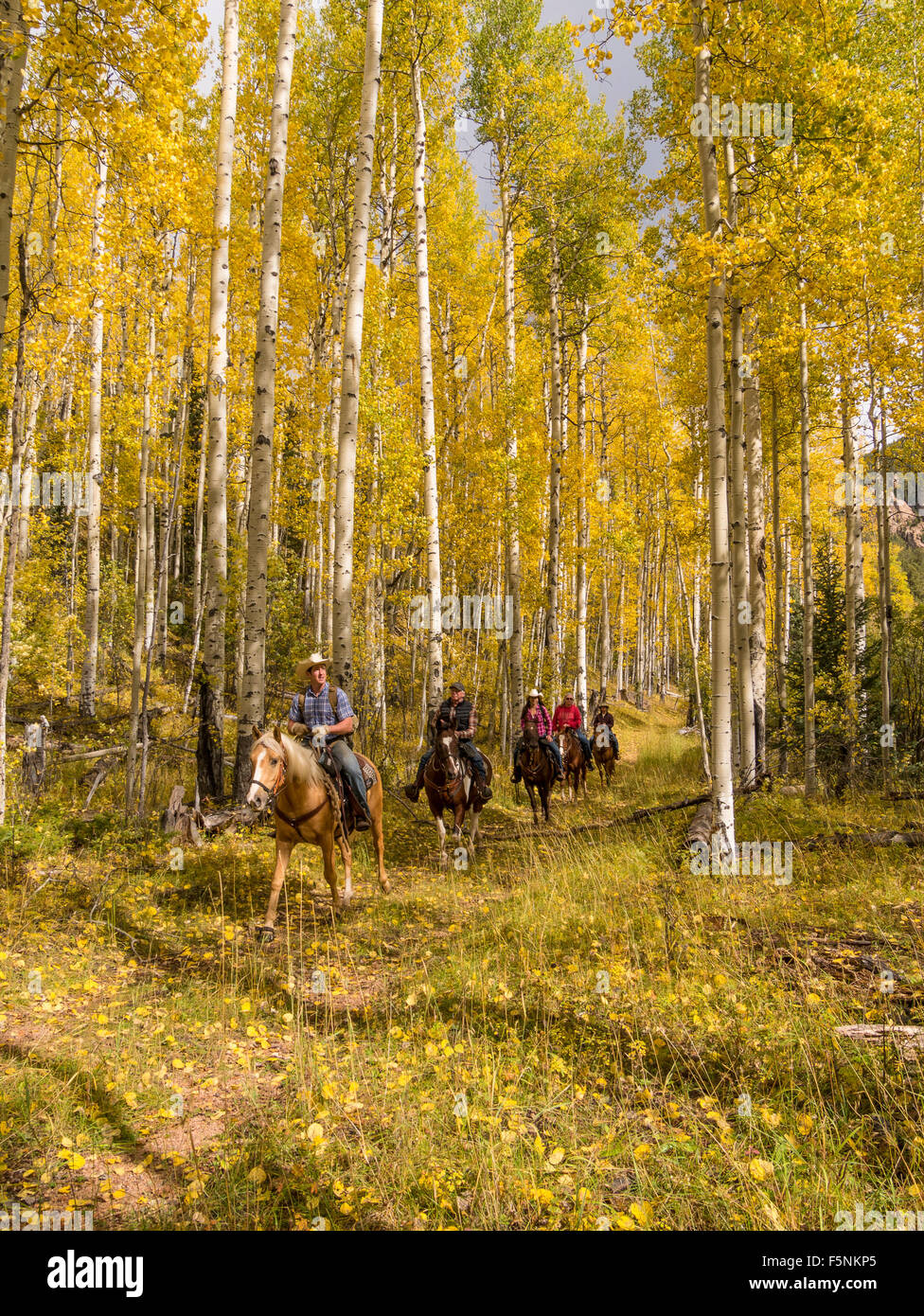 Riders ride through Aspen Alley, Emerald Valley Trail ride, Emerald
