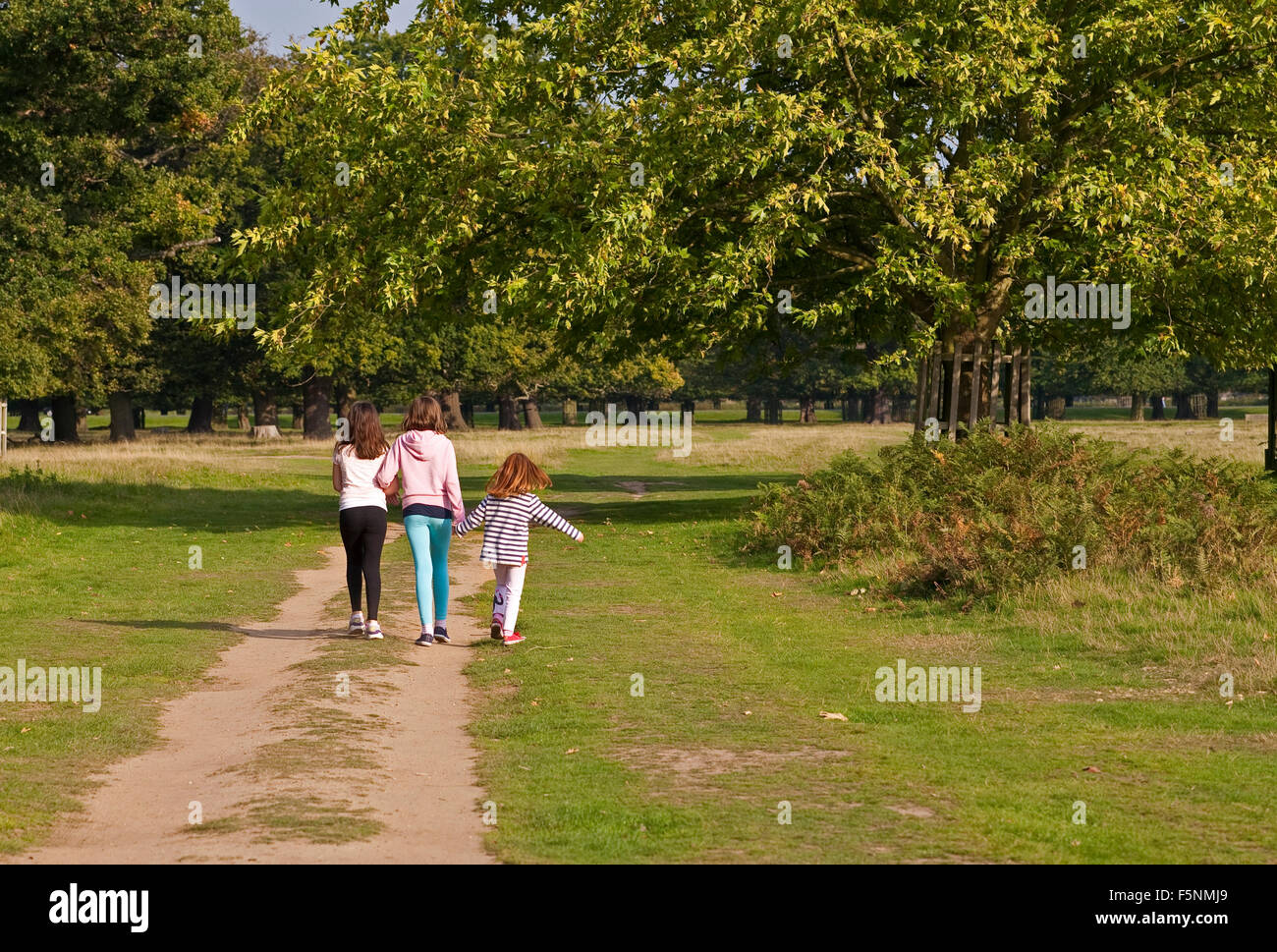 Three young girls are off exploring a large park. The two elder walk arm in arm while the eldest holds the hand of the younger. Stock Photo