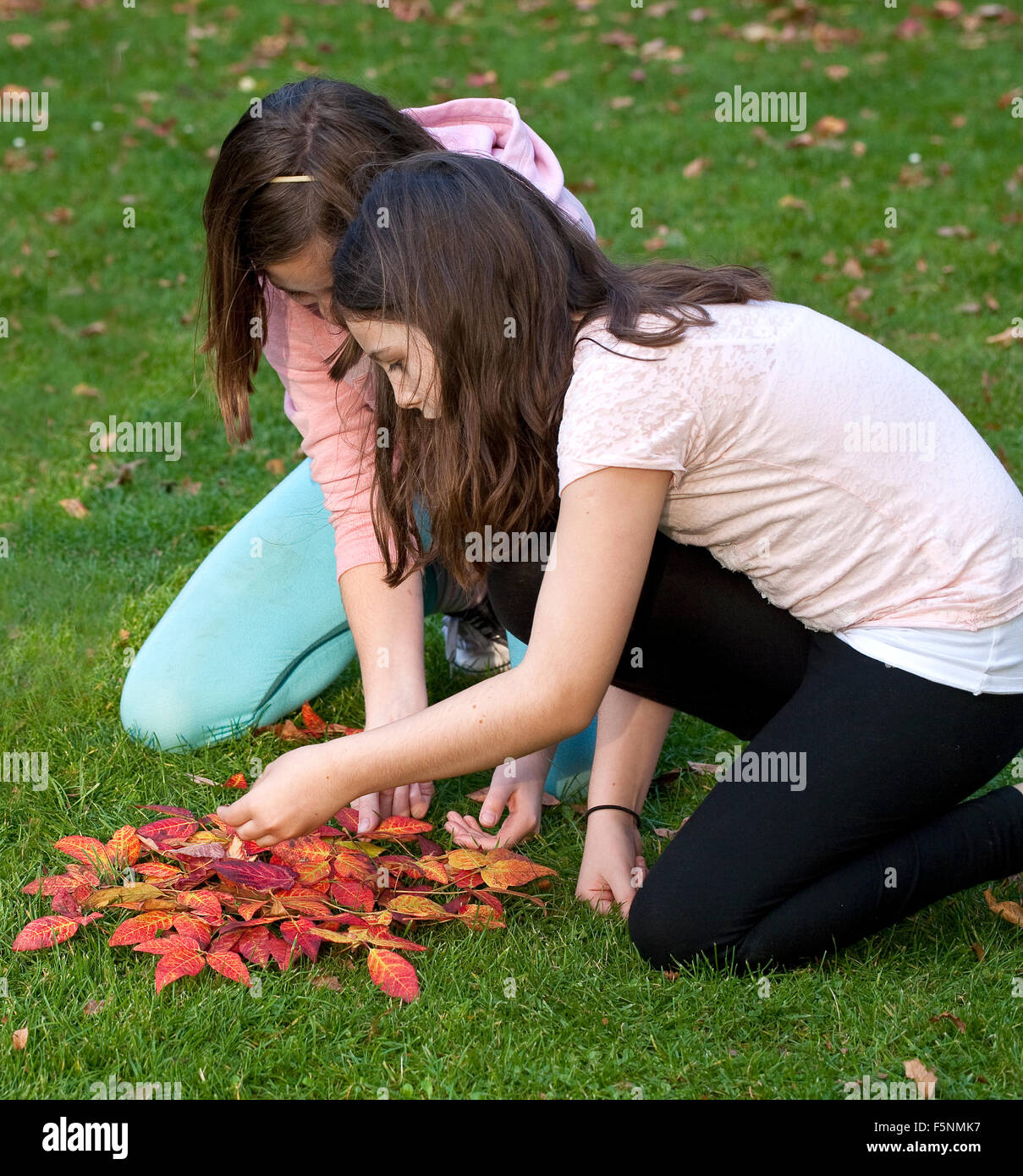Two girls are busily creating a sun out of brilliant red autumn leaves. Stock Photo