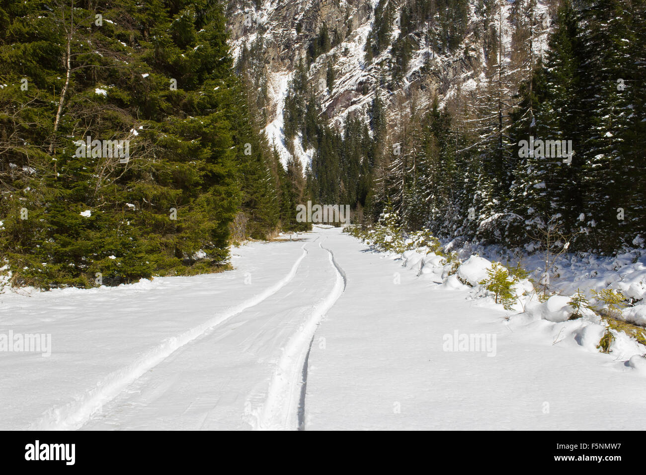Vehicle tracks in snow on sunny day, gastein, böckstein Stock Photo